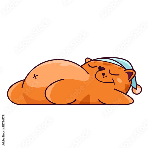 Cute red cat sleeps in a cap. Shows emotions, sleep, good night. Cat character hand drawn style, sticker, emoji