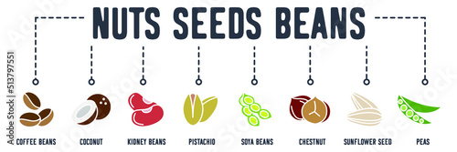 Nuts, seeds and beans banner web icon. coffee beans, coconut, kidney beans, pistachio, soya beans, chestnut, sunflower seed, peas vector illustration concept.