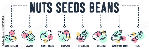 Nuts, seeds and beans banner web icon. coffee beans, coconut, kidney beans, pistachio, soya beans, chestnut, sunflower seed, peas vector illustration concept.