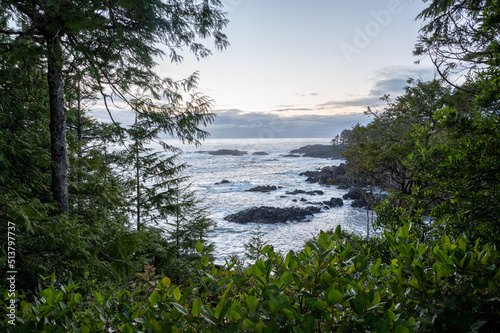 Ucluelet ocean coast through trees © Sean