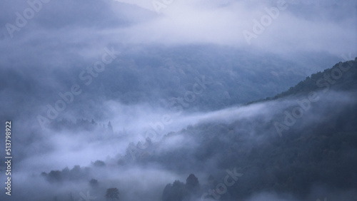 Dense forest shrouded by a thick fog  Slovakia  Europe
