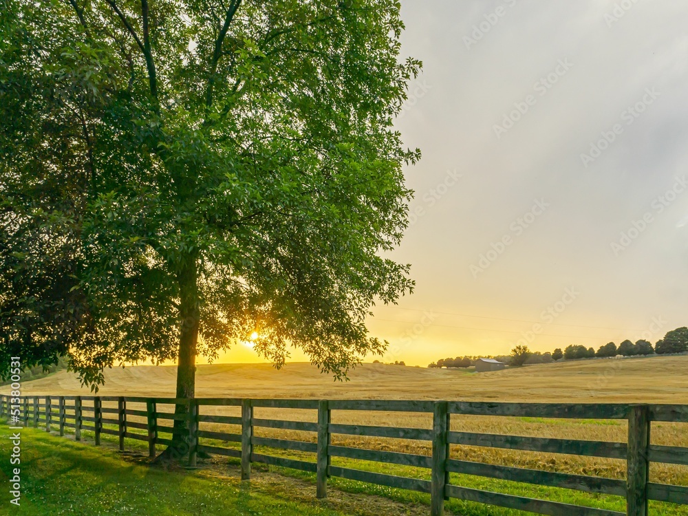 country sunset fence row