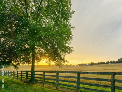 country sunset fence row