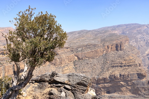Mountain landscape near Jebel Shams, Sultanate of Oman photo