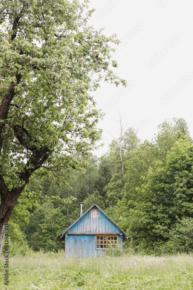 Small wooden house in rural field, view on a farmhouse in countryside, summer scenic landscape