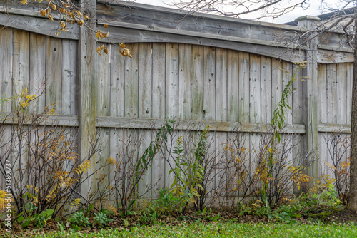 Photography Wooden fence aligned by withering shrubs and plants in a backyard during the fal
