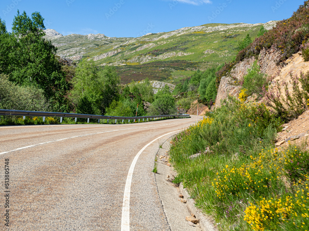 Paisaje verde de naturaleza rural , viajando por una carretera solitaria con árboles y montaña al fondo, en verano de 2021.
