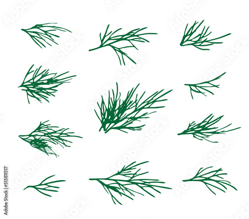 Dill Sprigs Isolated