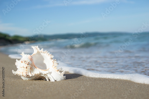 波打ち際と貝殻 © 歌うカメラマン