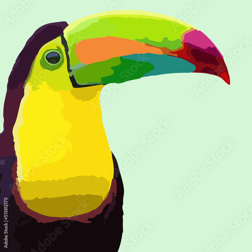 toucan bright colors, painting on the wall