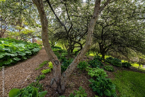 Arboretum and Botanical Garden in Moscow, Idaho