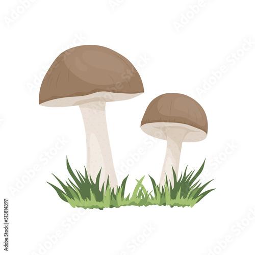 Vector Birch Mushroom Isolated on White. Hand Drawn Cartoon Birch, Porcini Mushrooms. Design Template, Clipart. Leccinum Scabrum, Penny Bun. Mushroom Couple