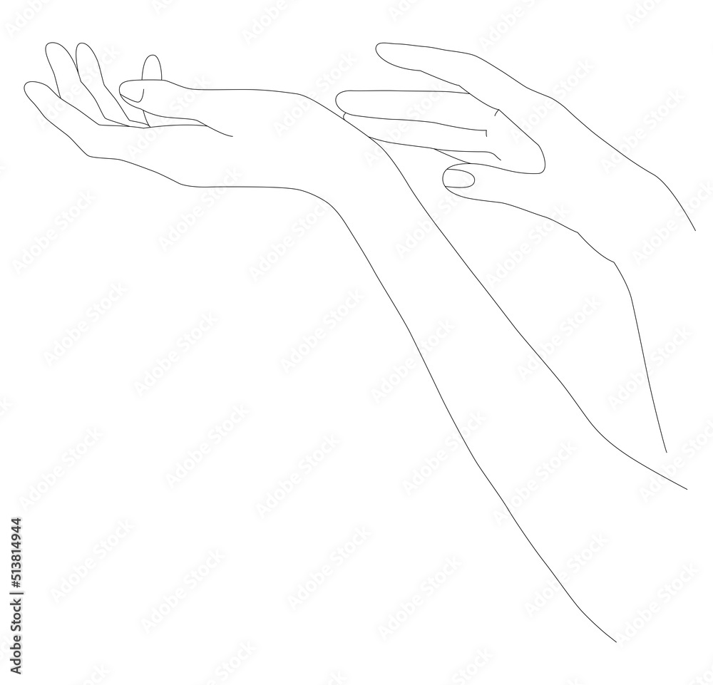 Holding hands. Palms in one line. Hands on a white isolated background. Hand in hand. A thin drawing line.