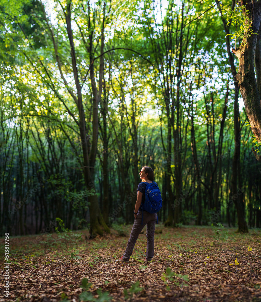 Young travel woman with backpack exploring woods in mountains in the morning Young travel woman with backpack exploring woods in mountains in the morning