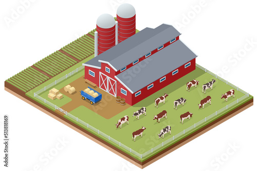Isometric agricultural farm buildings, windmill barn and silo sheds hay garden beds and tractor. Cows on a farm. Dairy cows in a farm