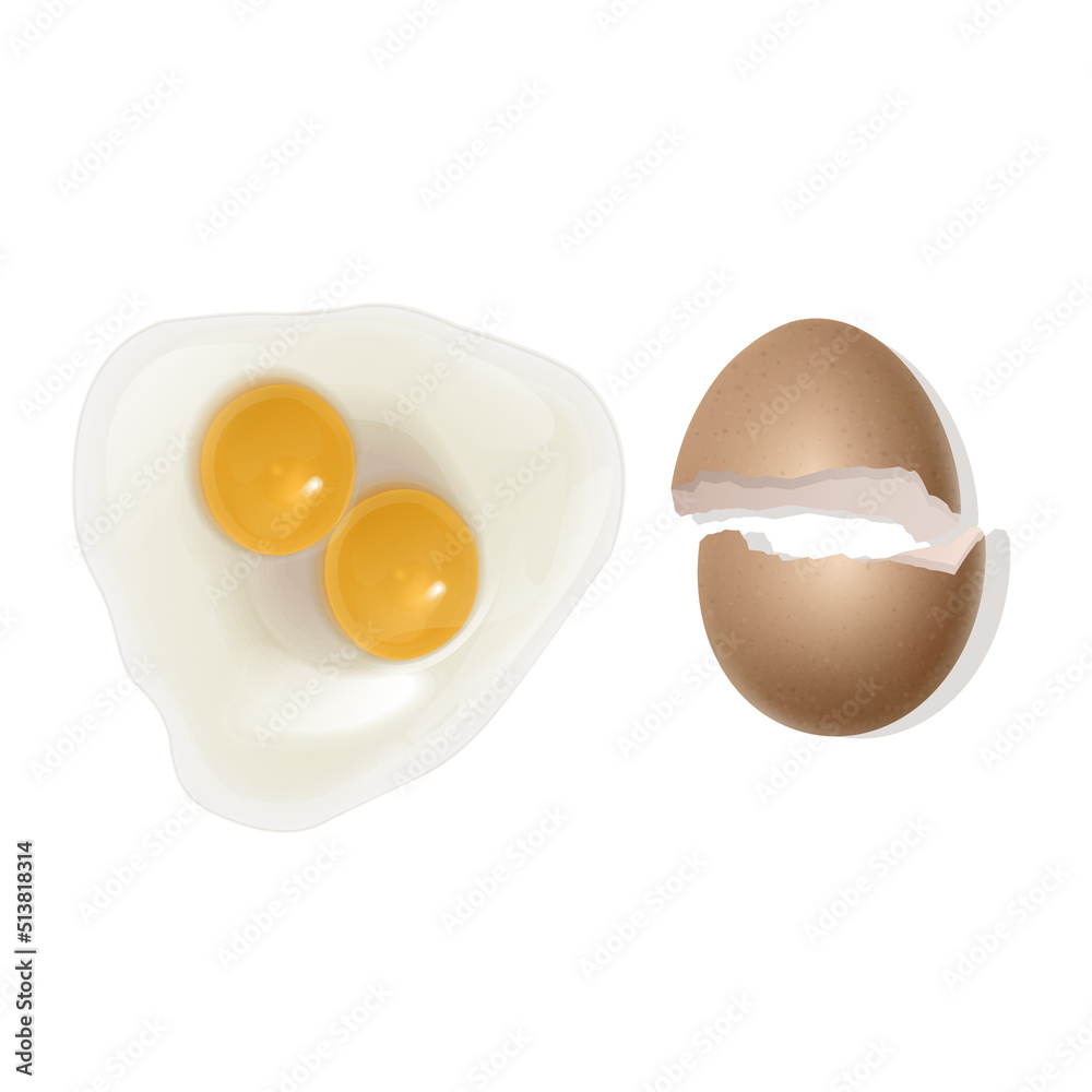 illustration of egg with two yolk, realistic Fried egg with with a broken shell isolated on white background, vector illustration. Top view illustration of egg with two yolk, realistic Fried egg with with a broken shell isolated on white background, vector illustration. Top view