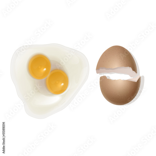 illustration of egg with two yolk, realistic Fried egg with with a broken shell isolated on white background, vector illustration. Top view