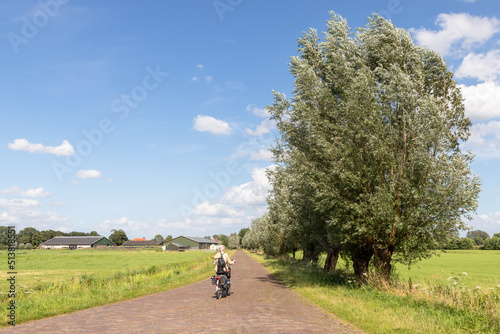 A cyclist on a farm road with pollard willows on the right side of the road.