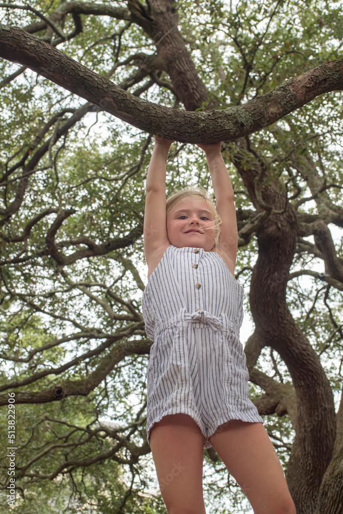 Girl hangs on a branch high in a tree Girl hangs on a branch high in a tree