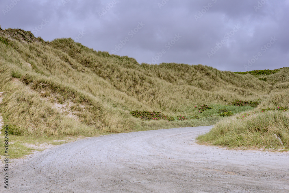 Road between grassy sand dunes