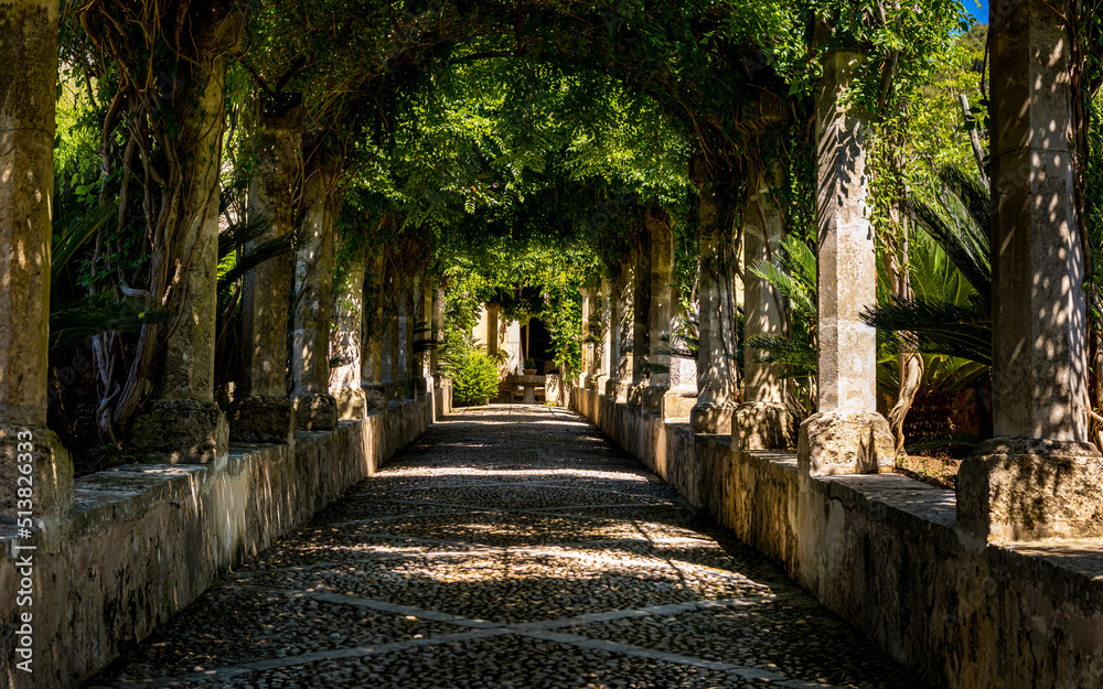 A pergola with old stone pillars overgrown with lush foliage climbing plants provide shade on a hot summer day outside the manor of the botanical garden Jardins d Alfabia nearby Bunyola at Mallorca.