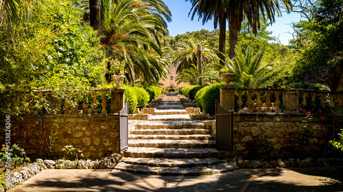 Entrance gate of the botanical garden Jardines de Alfabia nearby Bunyola at Mallorca with a long cobbled staircase lined with boxwood and palm trees at a day with blue sky and sunshine in summer. photo