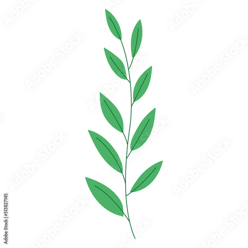 Isolated green nature leaf icon flat design Vector