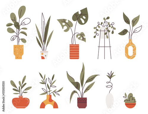 Potted plants set. Interior houseplants in planters, flowerpots. Home indoor green decor. Different foliage. Flat graphic vector illustrations