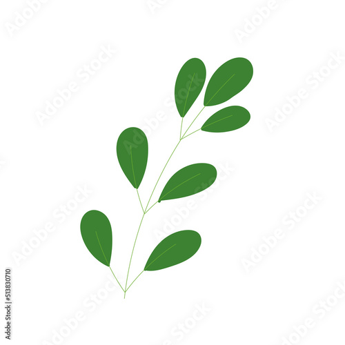 Isolated green nature leaf icon flat design Vector © lar01joka