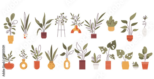 Potted plants set. Interior houseplants in planters, flowerpots. Home indoor green decor. Different foliage. Flat graphic vector illustration