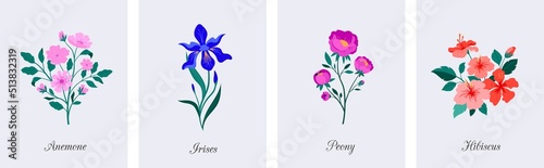 Spring botanical flowers illustrations. Blooming garden flowers. Irises, peony, anemone and hibiscus. Colorful flat illustrations