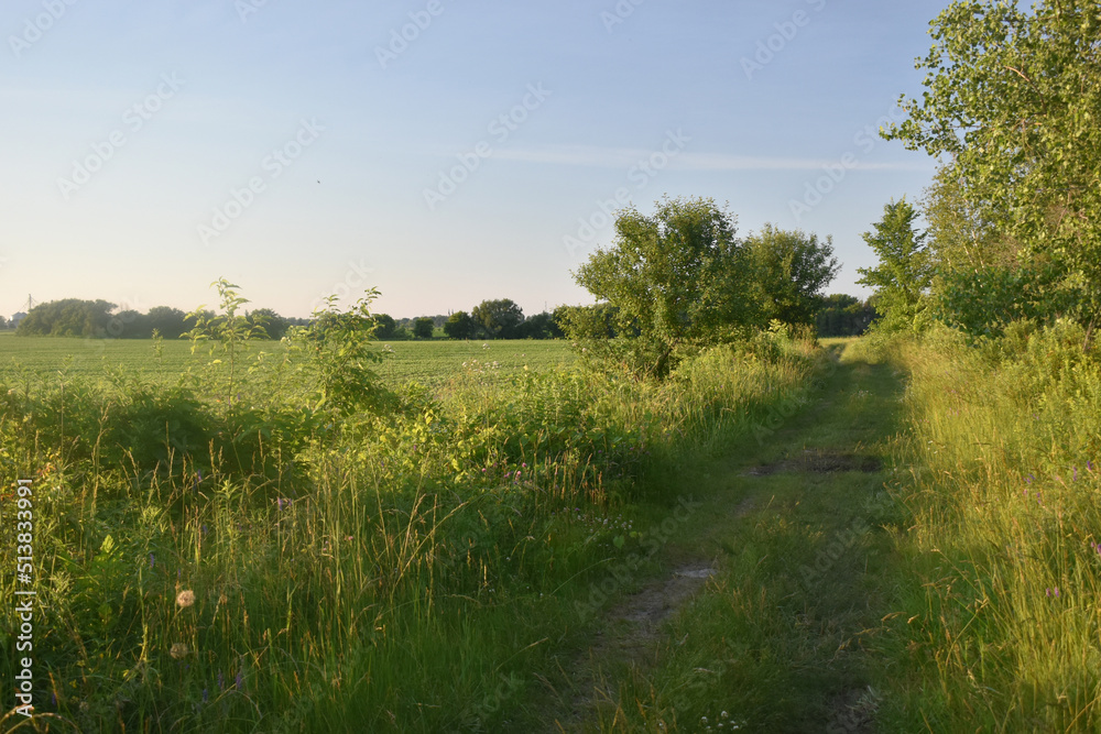 Obraz premium Camping Russeltown 24 Au 26 Juin 2022