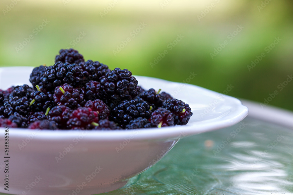 Fresh picked mulberries in a white bowl on a glass table close up selective focus Fresh picked mulberries in a white bowl on a glass table close up selective focus