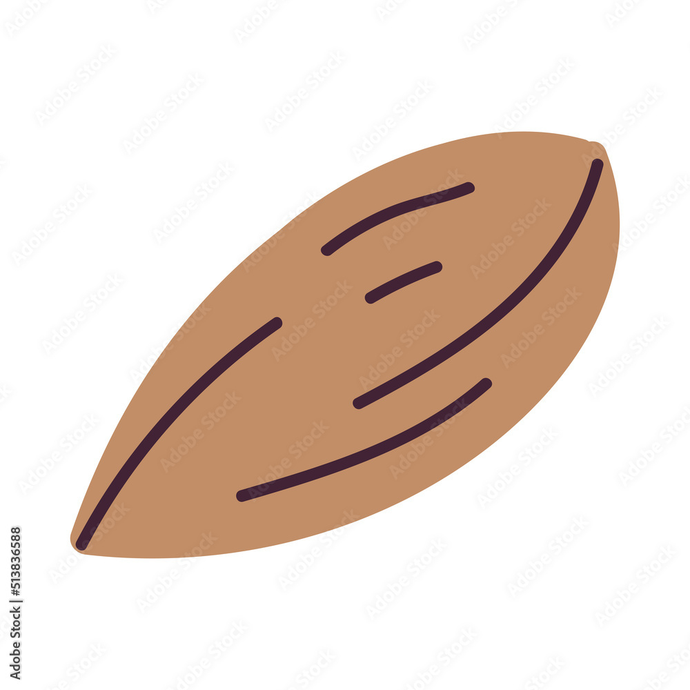 Isolated sketch of an almond icon Vector Isolated sketch of an almond icon Vector