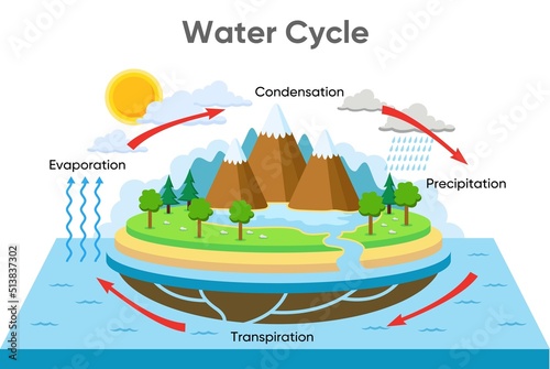 water cycle diagram with rainfall and ocean, vector design illustration