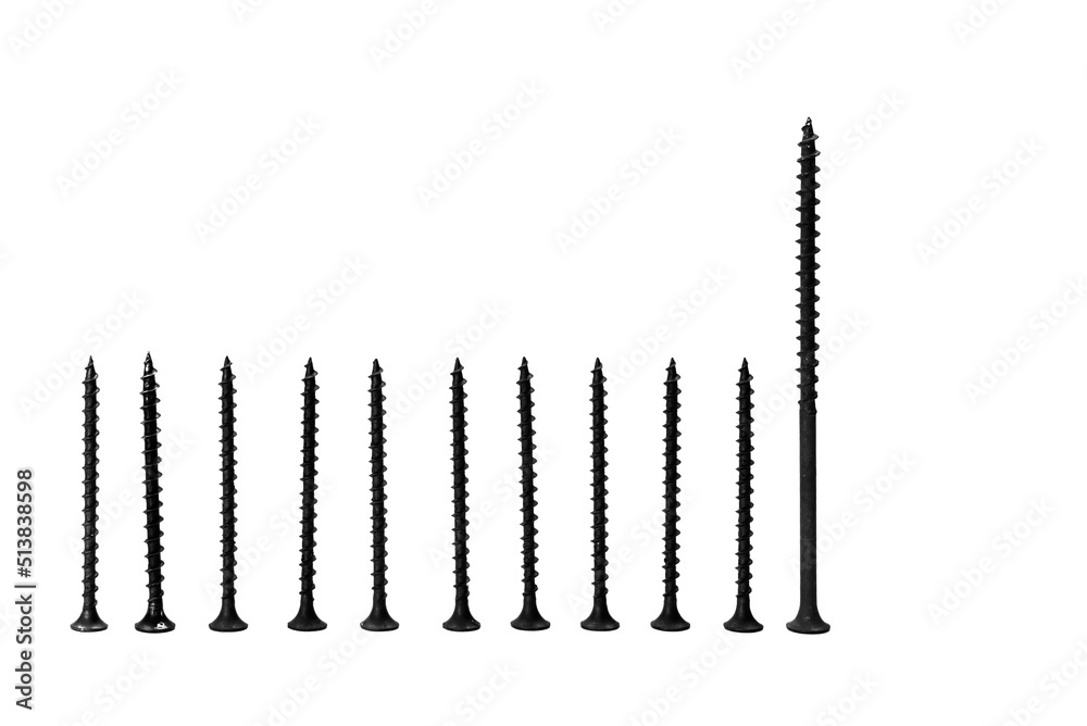 long black screws for construction close-up on a white background long black screws for construction close-up on a white background