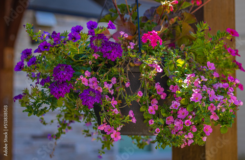 Baskets of hanging colorful flowers on balcony. Summer flowers in ornamental plant. Street photo