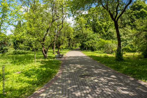 Landscaping of a parking area with flowers and trees on a sunny day, an ennobled park area in a botanical garden with paths and green trees