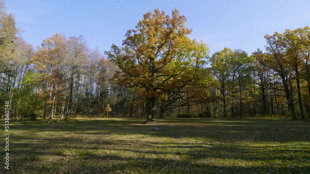 St. Petersburg in autumn, a natural monument landscape park St. Petersburg in autumn, a natural monument landscape park