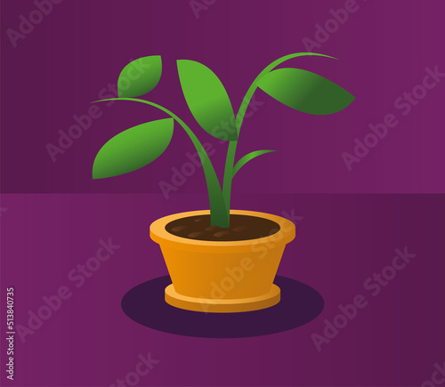 flower, pot, green, plant, herb, flowerpot