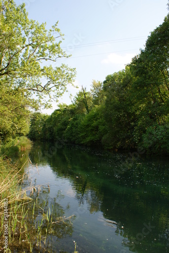 river in the forest