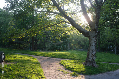 path in the park