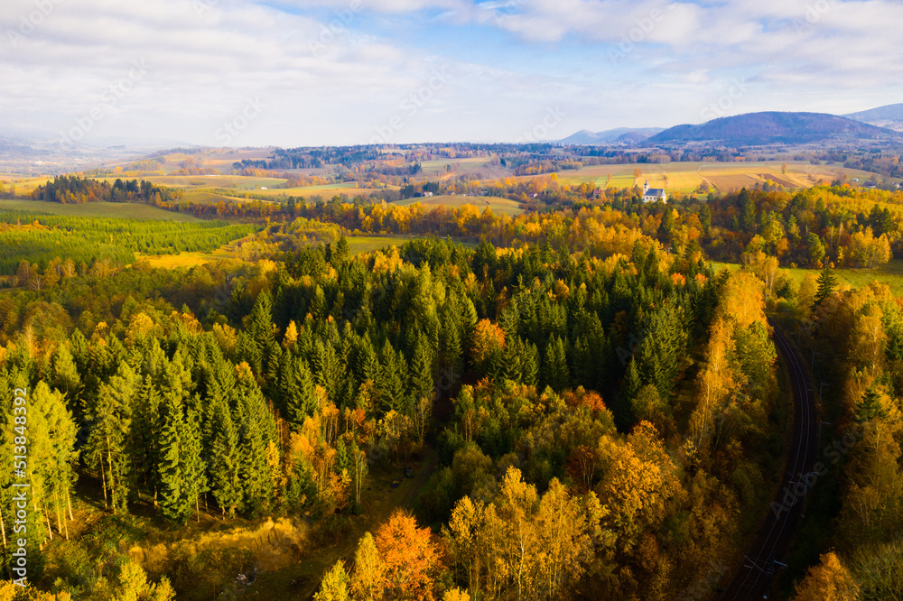 Aerial view of picturesque autumn hilly landscape with winding road between yellow trees..