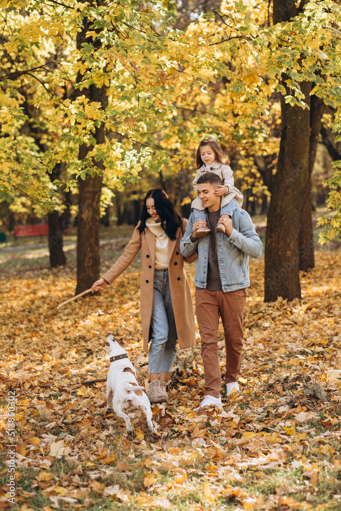Fototapeta premium Happy young family walks and plays with a dog in the autumn park