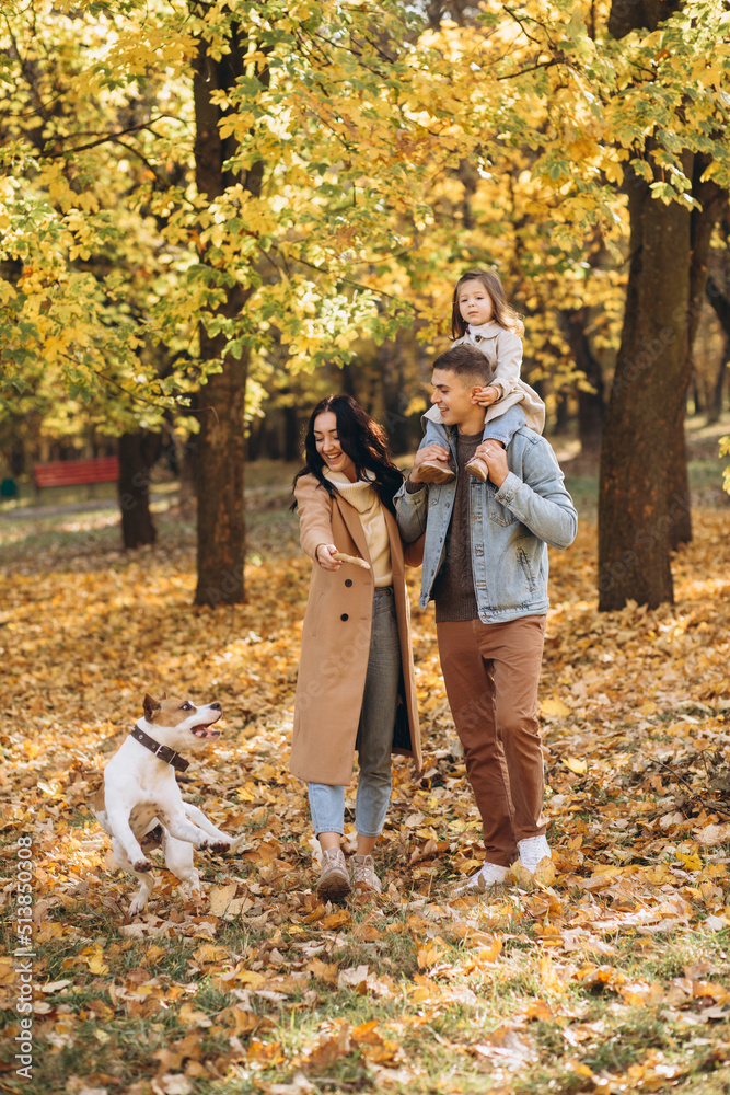 Fototapeta premium Happy young family walks and plays with a dog in the autumn park