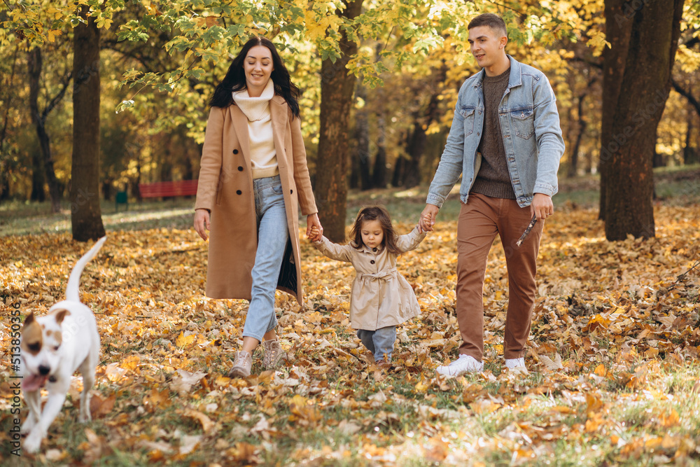 Fototapeta premium Happy young family walks and plays with a dog in the autumn park