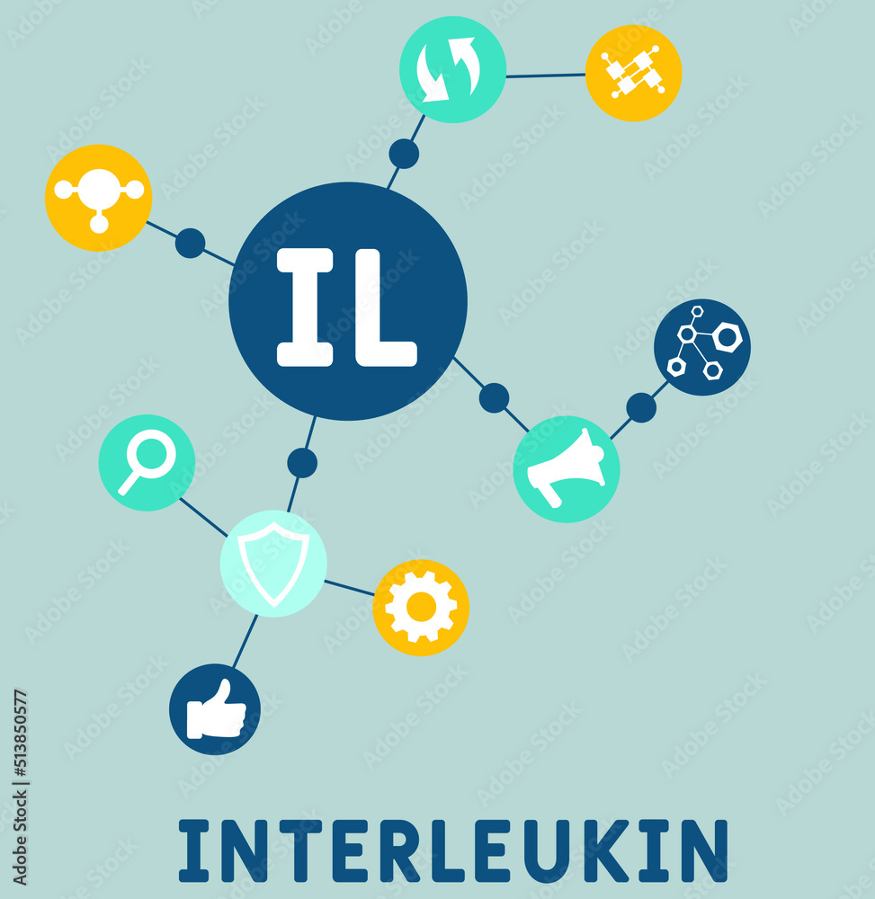IL Interleukin acronym. business concept background.  vector illustration concept with keywords and icons. lettering illustration with icons for web banner, flyer, landing