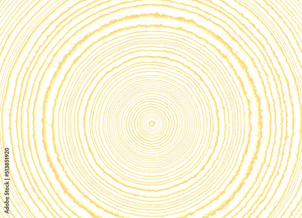Fototapeta premium wood texture background
