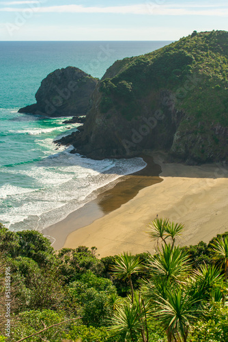 Beautiful black sand beach in the Piha region, New Zealand