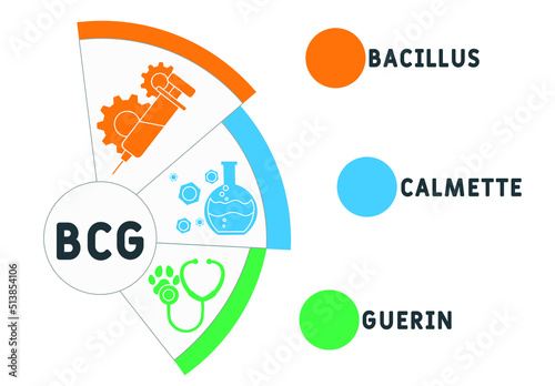BCG Bacillus Calmette-Guerin acronym. medical concept background.  vector illustration concept with keywords and icons. lettering illustration with icons for web banner, flyer, landing page